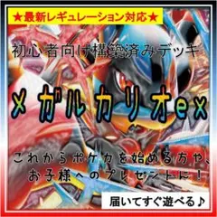 《コンセプト》構築済みデッキ497 メガルカリオex