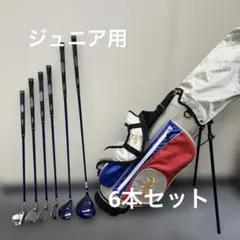 IGNIO ジュニア ゴルフクラブ6本セット スタンドバッグ付き