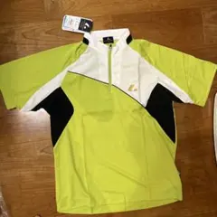 Item thumbnail for item 7a85c9e9-c774-4407-8832-152cb4ca2d8e