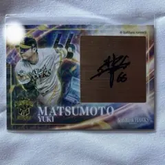 [きなこもち様専用]