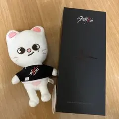 2026年最新】straykids ペンライトの人気アイテム - メルカリ