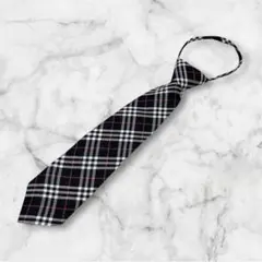 Item thumbnail for item df7b956b-aeba-46d4-8214-5effd18f725b