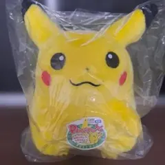 ポケットモンスター　おかえり!ピカチュウ1/1 ポケモン30周年記念