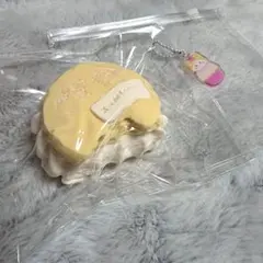 kaiuncream 食べかけ マカロン クリーム スクイーズ