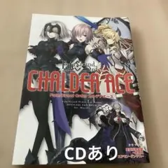 Fate/Grand Order カルデアエース