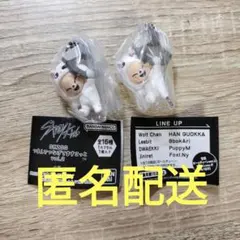 SKZOOつまんでつなげてマスコットvol.2