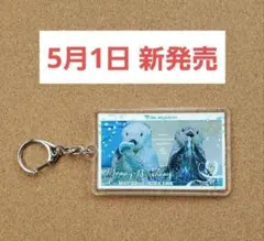 鳥羽水族館 ラッコ メイちゃん お誕生日Ver. アクリルキーホルダー