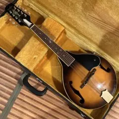 ☆寺田楽器ブランド・ジャガード！フラットマンドリンがこれだ！超爆鳴