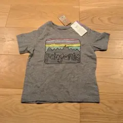 Patagonia オーガニックコットン Tシャツ 12-18M