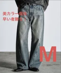 WYM LIDNM VINTAGE WASHED CURVED DENIM - メルカリ