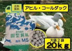アヒル コールダックの餌 1キロ - メルカリ