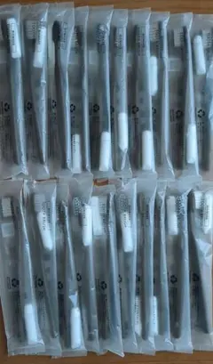 旅行用歯みがきセット 20本