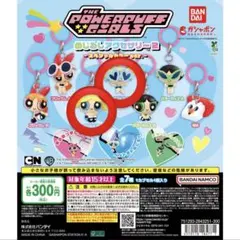 パワーパフガールズ　めじるしアクセサリー　スペシャルカラーVer 2種類