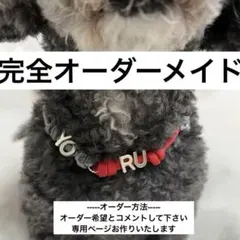 愛犬にかわいいネックレスを 犬　首輪 オリジナル 名前入り ネックレス 迷子札