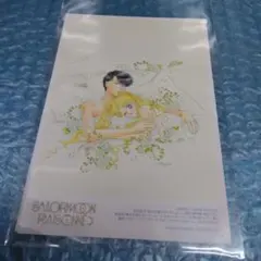 Item thumbnail for item a3d1fa92-3a93-46cf-b48e-b708d2f85382