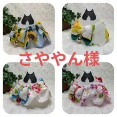 猫首輪　ザビエル　初夏のサムネイル