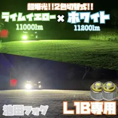超爆光！2色切替式 L1B用 アンバー×ホワイト フォグランプ！実測100W