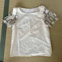 Item thumbnail for item 8e684d09-e424-4e9b-842a-47f2189e077a