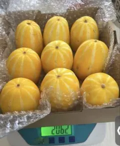 韓国メロン2kg、約7-9個、値下げ不可、届いたばかりのサムネイル