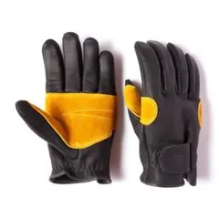 Item thumbnail for item 07665712-1dbc-498b-a274-4fdbbcba06c8