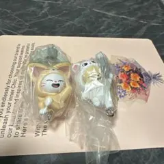 skzoo ガチャ アイエン ヒョンジンセット