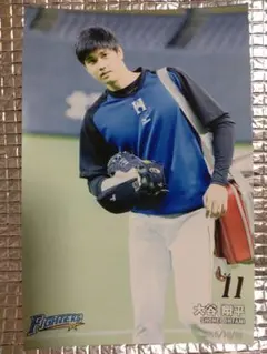 大谷翔平 2015 ハイライトフォト No.236 日本ハム 球団公式写真