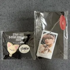 STRAYKIDS アイエン　バックチャーム　skzoo allin