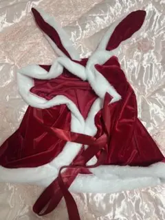 Item thumbnail for item 53143afa-72df-42f8-b08e-87520211ae58