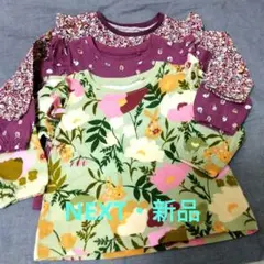 週末お値下げ　新品・未使用NEXT長袖Tシャツ9-12ヶ月3枚セット