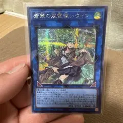 2026年最新】風霊使いウィン 20thの人気アイテム - メルカリ