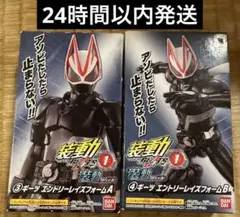 い*ー様 装動　仮面ライダーギーツ　エントリーレイズフォームセット