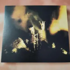 パール・ジャム　ライオットアクト　PEARL JAM RIOT ACT CD