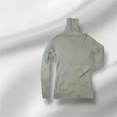 K385　【ノーブランド】レディース　トップ　タートルネック　光沢