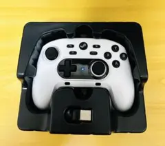 【美品】ワイヤレスホリパッド for Steam (シャイニーホワイト)