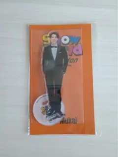 向井康二 アイドル