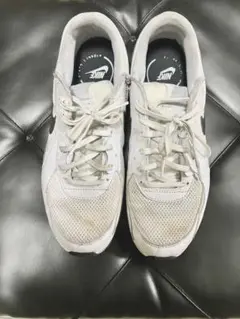 NIKE エアマックス　FN7304-100