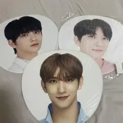 SEVENTEEN ジョシュア うちわセット バラ売り可 - メルカリ
