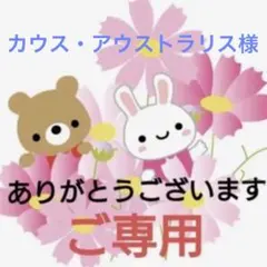 ♦︎カウス・アウストラリス様♦︎ご専用
