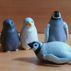 アニア コウテイペンギン 子ども タカラトミー フィギュア レア
