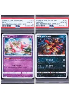 ポケモンカード イベルタルEX SR PSA10 006/023 - メルカリ