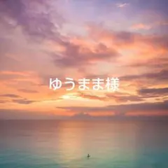 コメントご確認下さい ゆうまま様 リクエスト 3点 まとめ商品