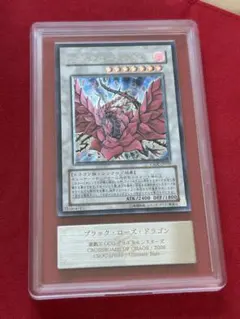 ARS10 ブラックローズドラゴン レリーフ アルティメットレア 遊戯王