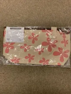 Item thumbnail for item 73aa8783-b48e-40f8-947c-fb3b76e153fb