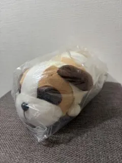 Item thumbnail for item 7a462af9-2d47-40fa-bfb3-7cd465104762