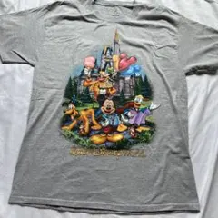 ヘインズボディ　ディズニーランド シンデレラ城 ミッキー Tシャツ サイズL