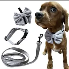 犬用首輪 リード 蝶ネクタイ ３点セット 犬 猫 ペット シンプル かわいい