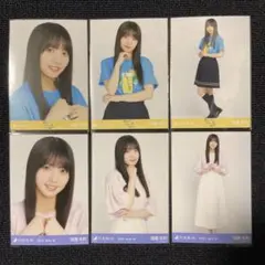 海邉朱莉 乃木坂46 真夏の全国T ライブT 静岡 メッシュニット 生写真 6種