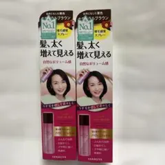 柳家レディース　トップシェードスプレーウィッグ　2本セット