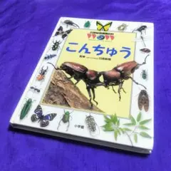2026年最新】21世紀幼稚園百科の人気アイテム - メルカリ