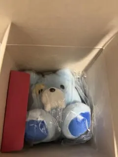 ENHYPEN THE SIN:VANIS ジョンウォン ボイスキーリング